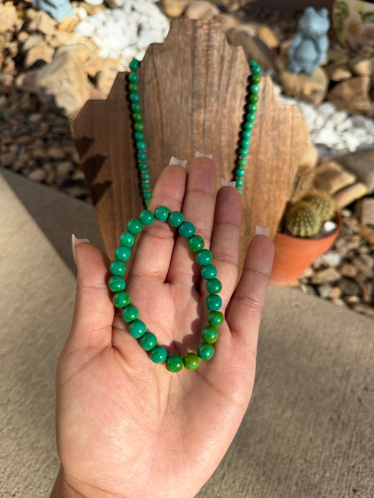 Grandma Cactus African TQ & Silver set