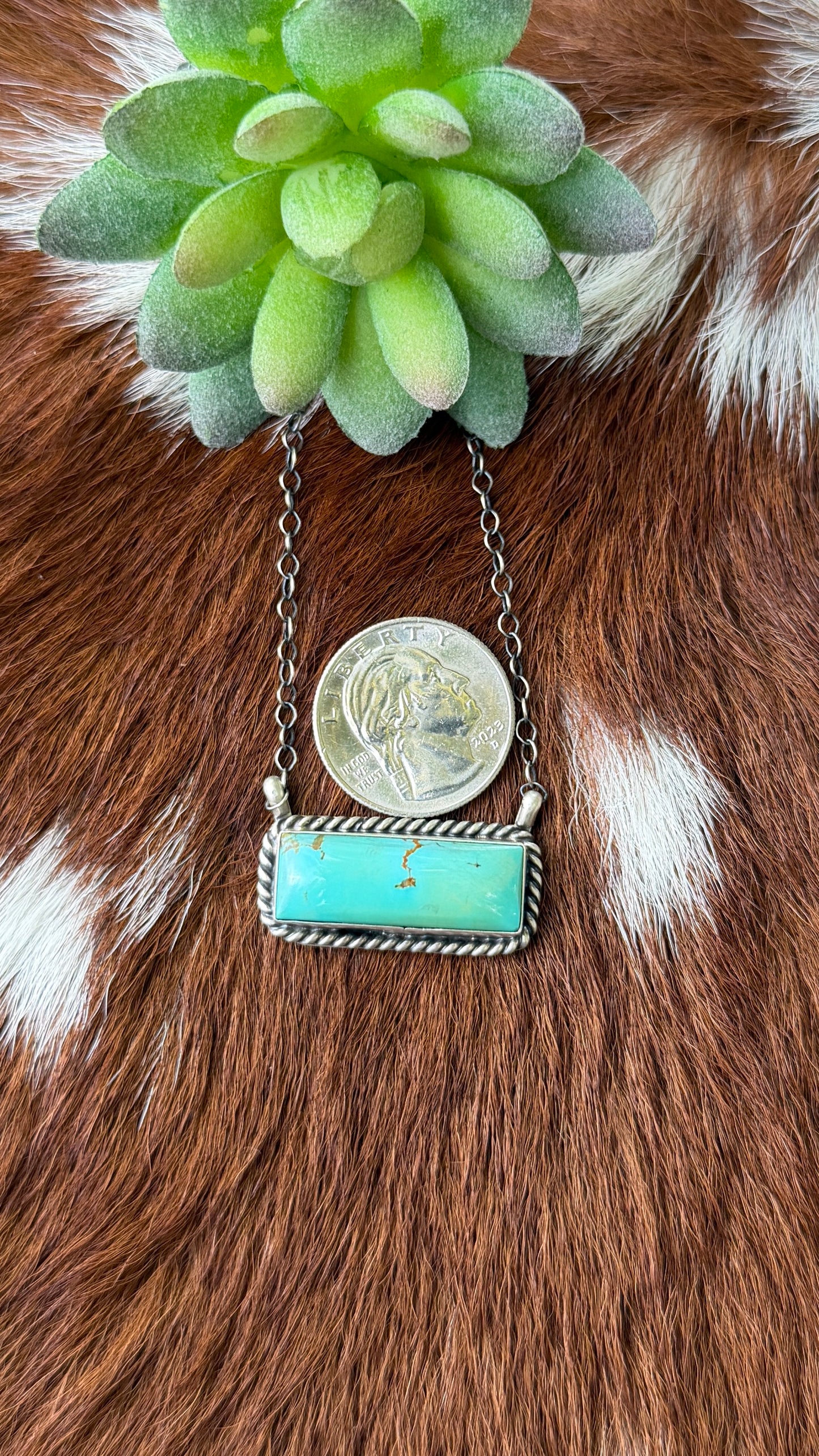 Donovan Skeets Turquoise bar