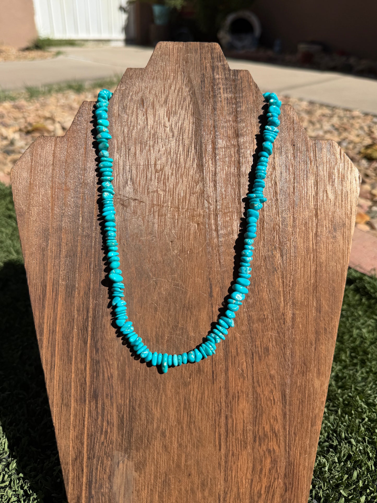 Sleeping beauty chip necklace