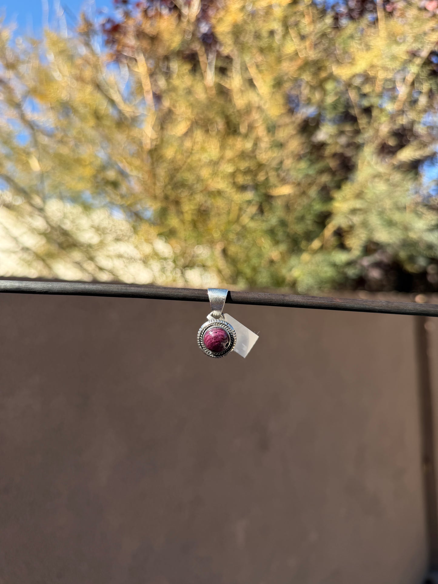 Purple spiny pendant