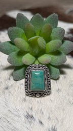 Emerald Valley Turquoise Ring, Size 7