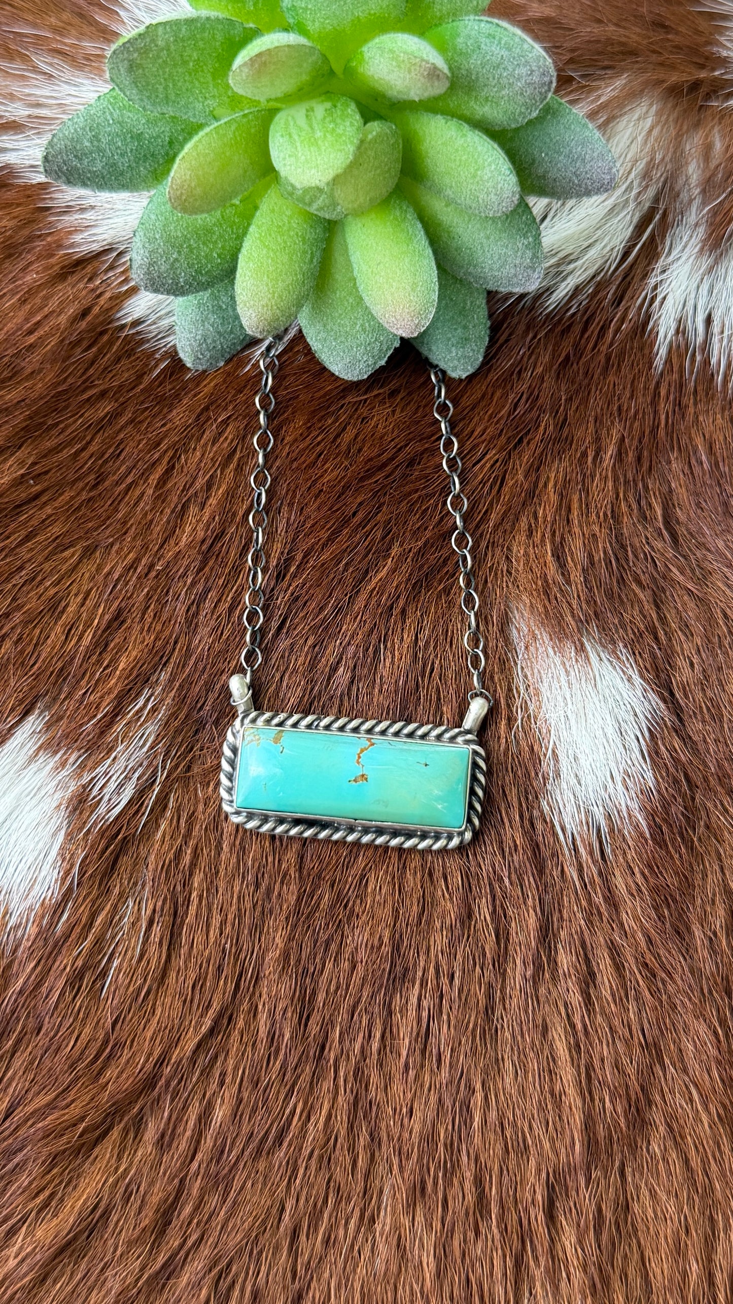 Donovan Skeets Turquoise bar