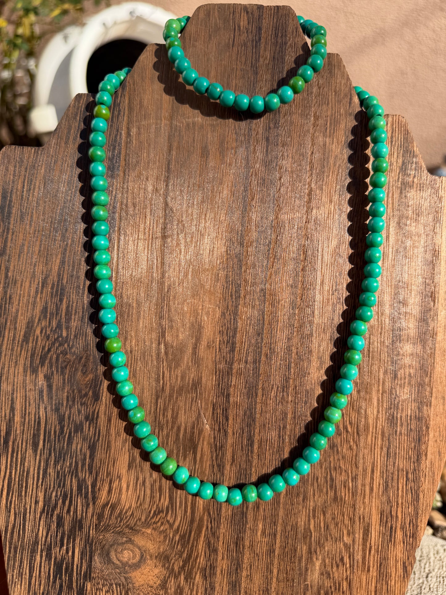 Grandma Cactus African TQ set 18"