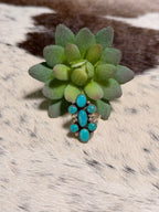 Julia Etsitty Cluster Ring
