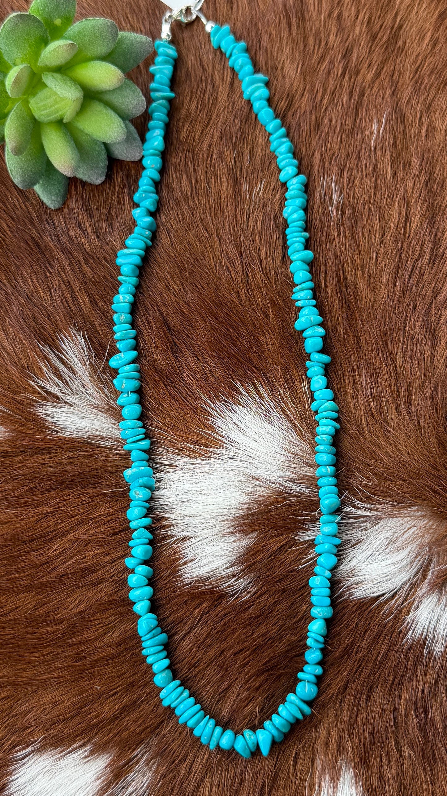 Sleeping Beauty Turquoise necklace