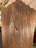 Orange spiny Mini Bar