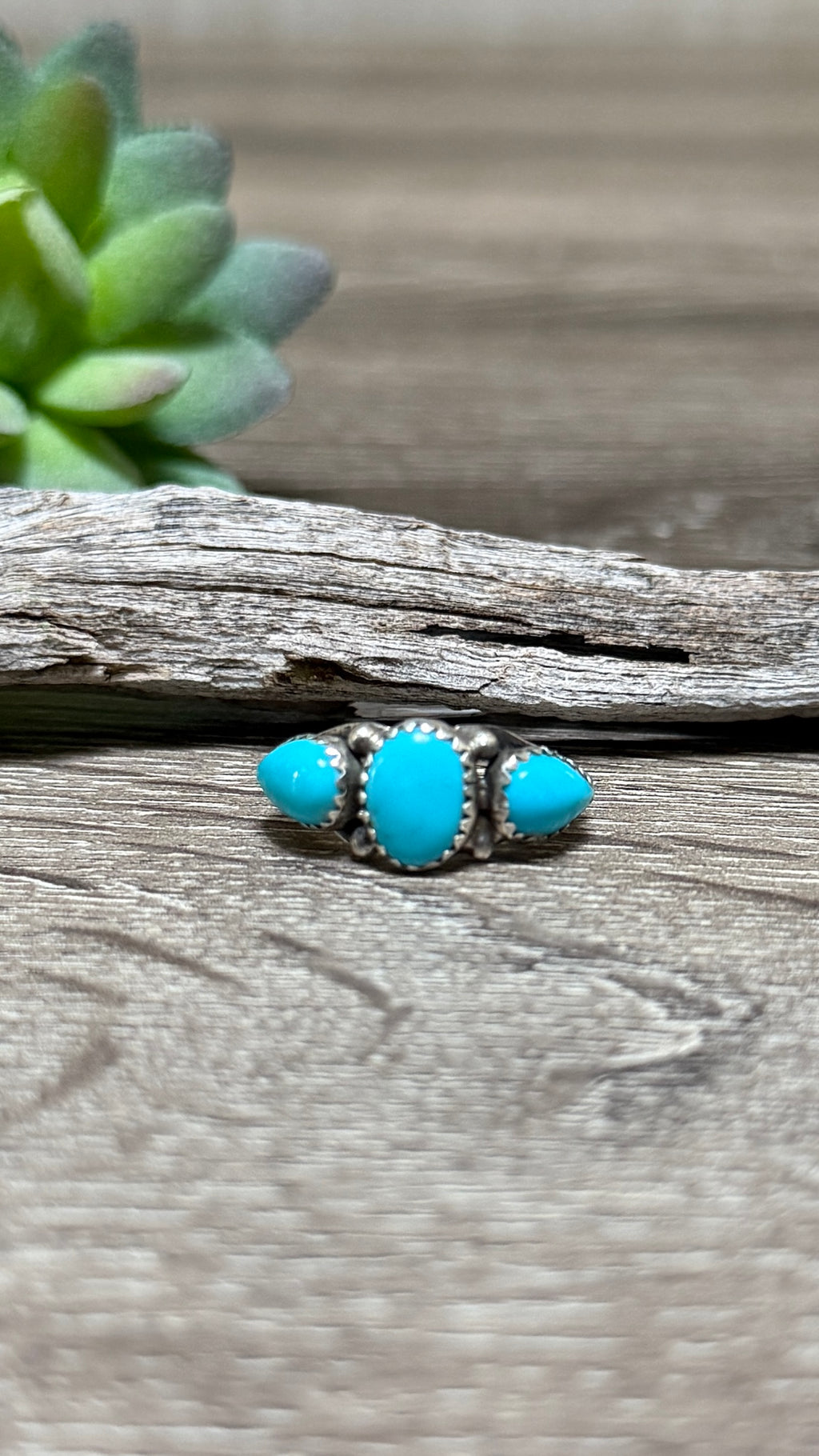 Maranda Ramone Turquoise Ring, Size 8