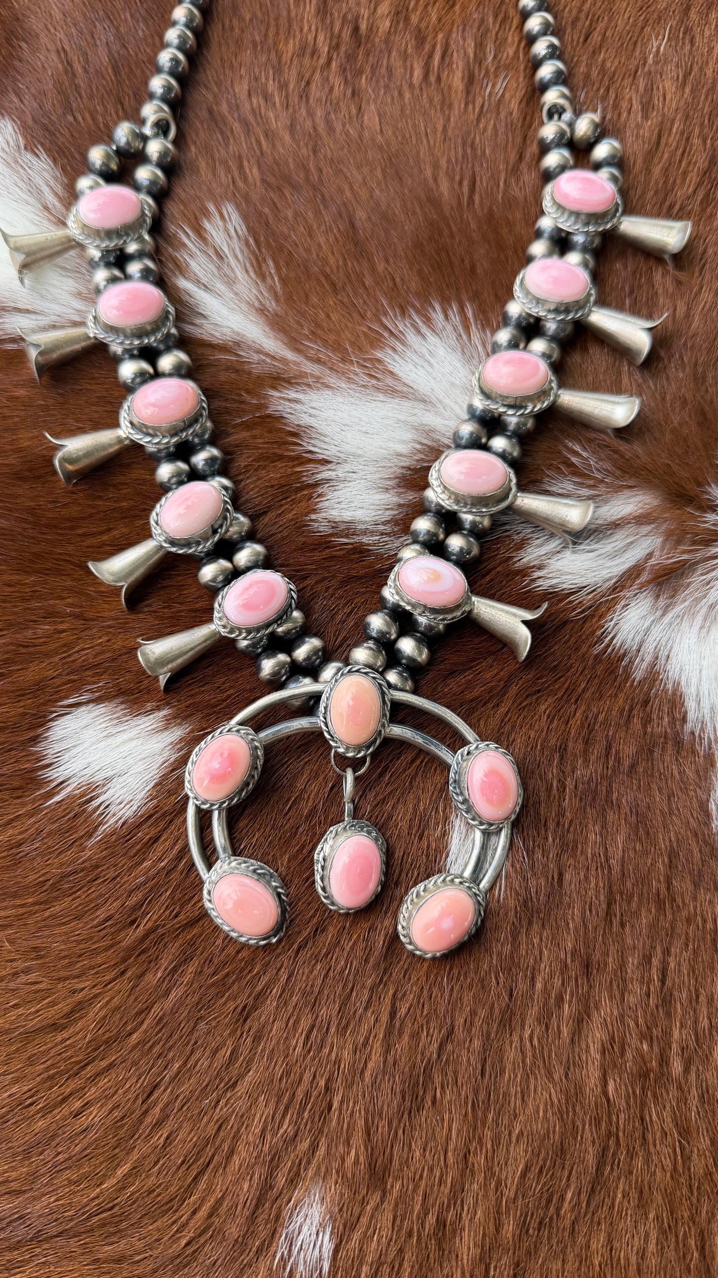 Gilbert Nez Pink Conch squash