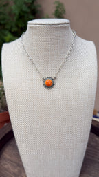 Orange spiny bar