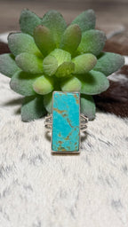 Royston Turquoise Ring, Size 7