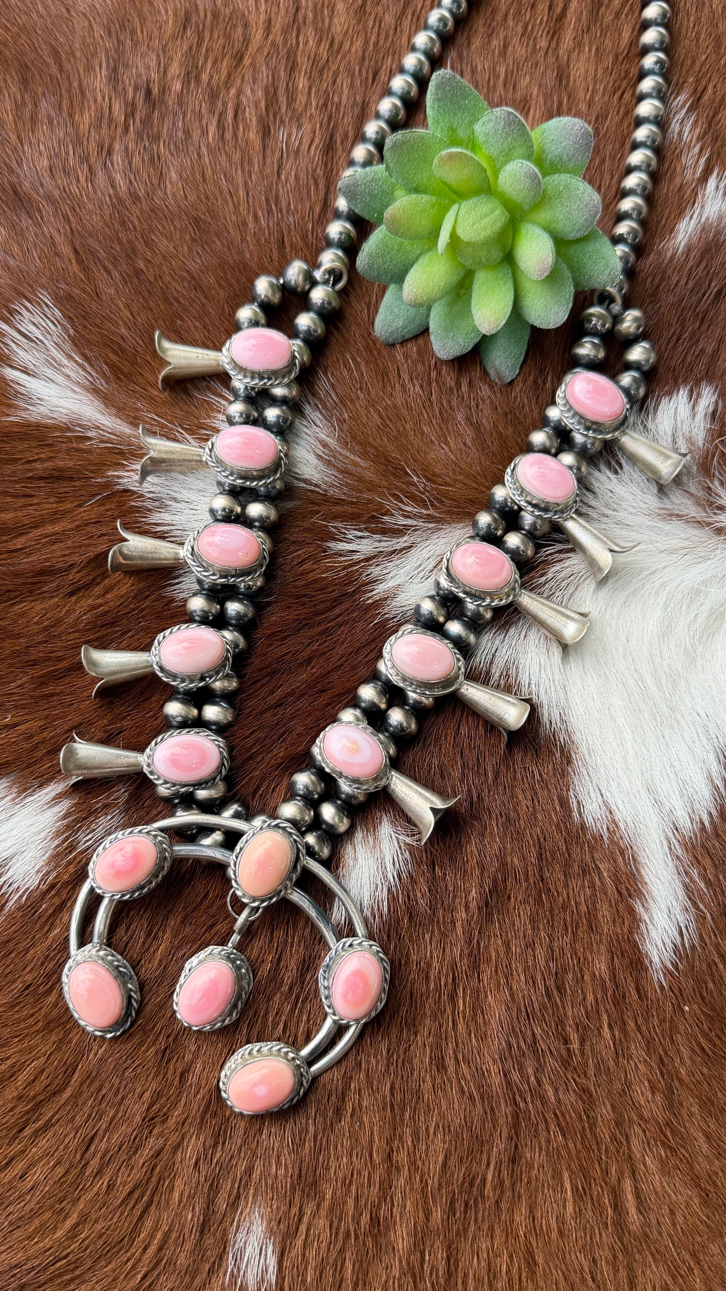 Gilbert Nez Pink Conch squash