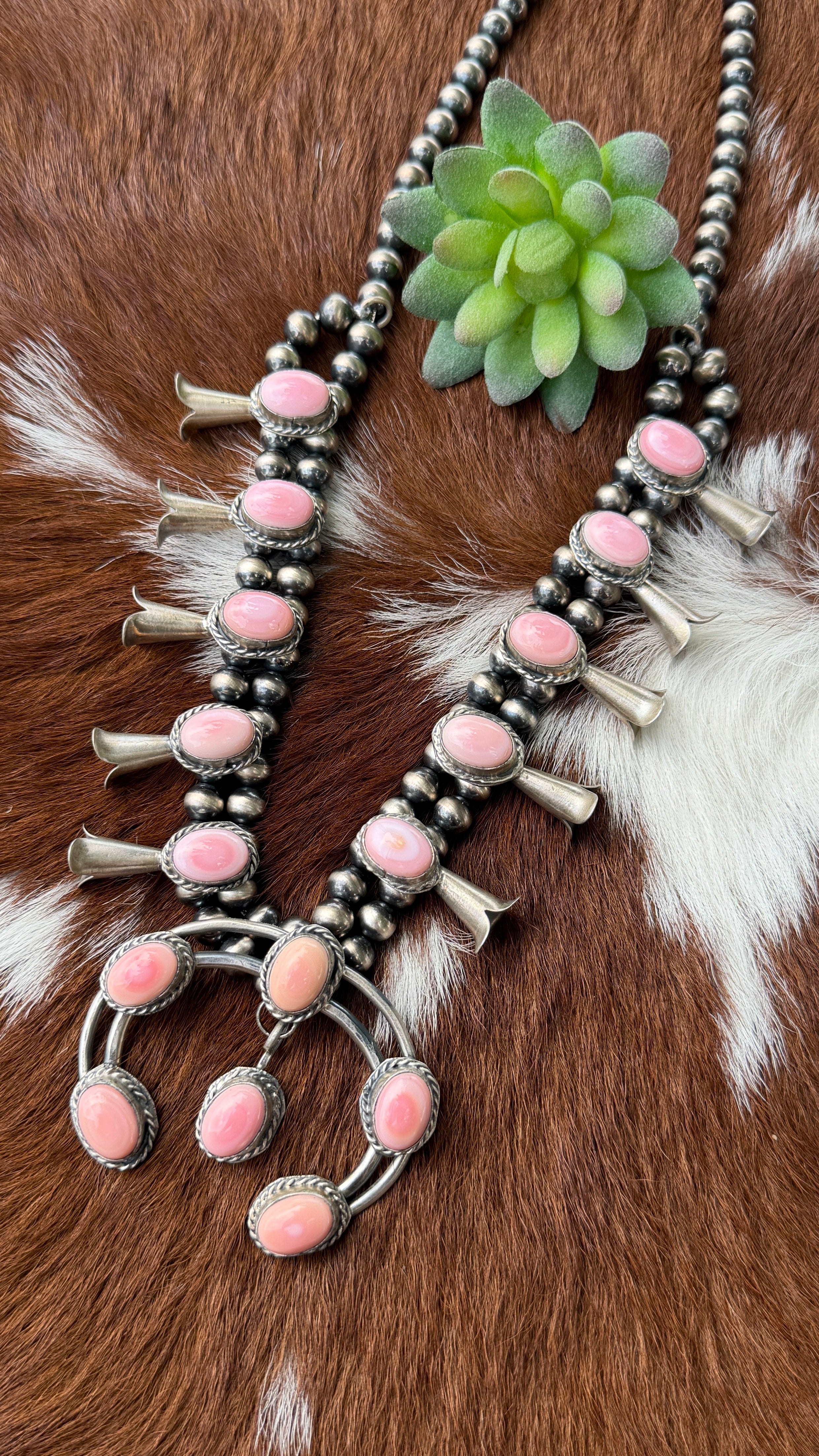Gilbert Nez Pink Conch squash