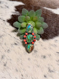 Boyd Joseph Ashley Sonoran & Red Spiny Crawler