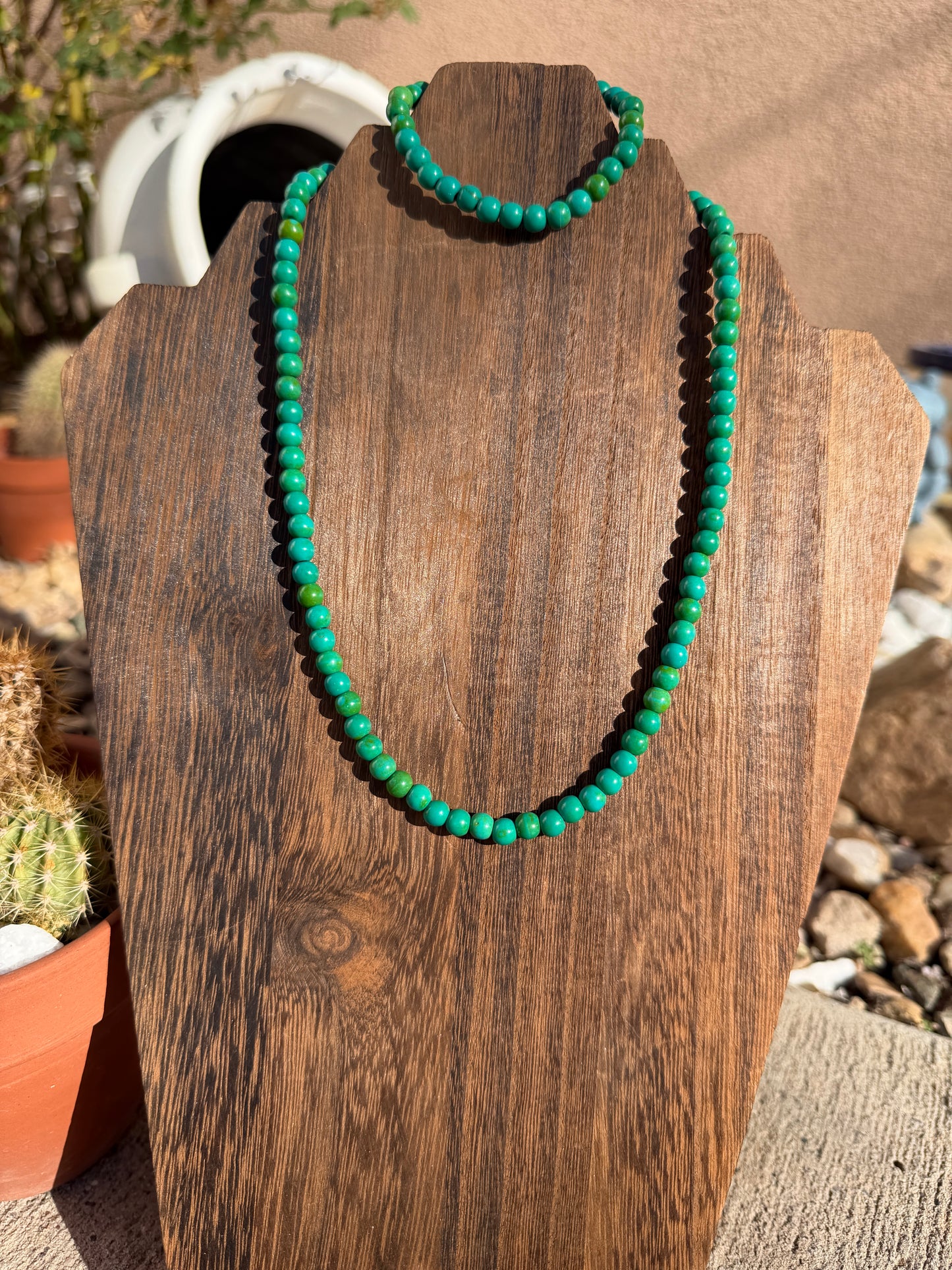 Grandma Cactus African TQ set 18"