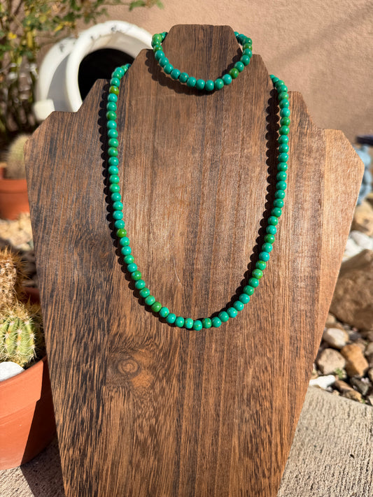 Grandma Cactus African TQ set 18"