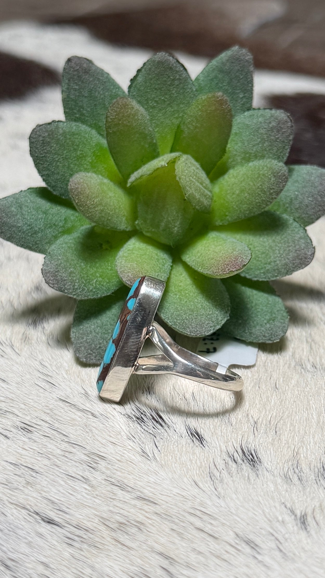 Cathy Webster Prince Turquoise Ring, Size 7