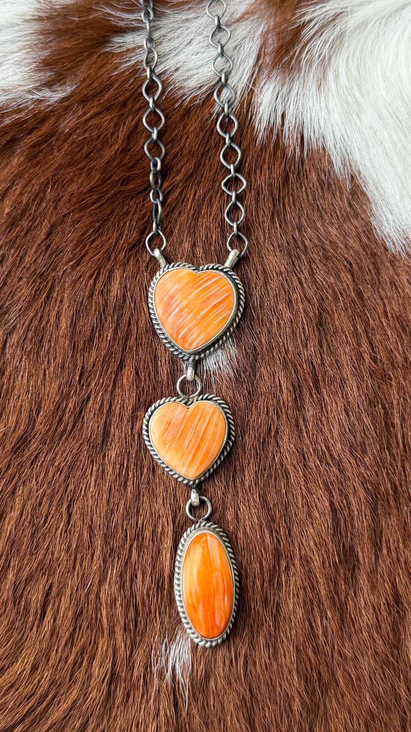 Orange spiny creamsicle
