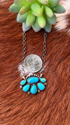 Native Turquoise half cluster