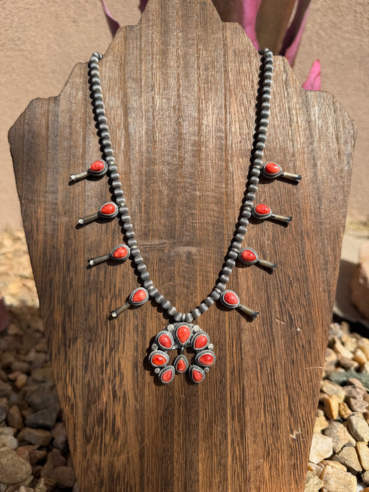 Tricia Smith Red Spiny squash blossom set