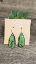 Boyd Joseph Ashley Pixie TQ dangle