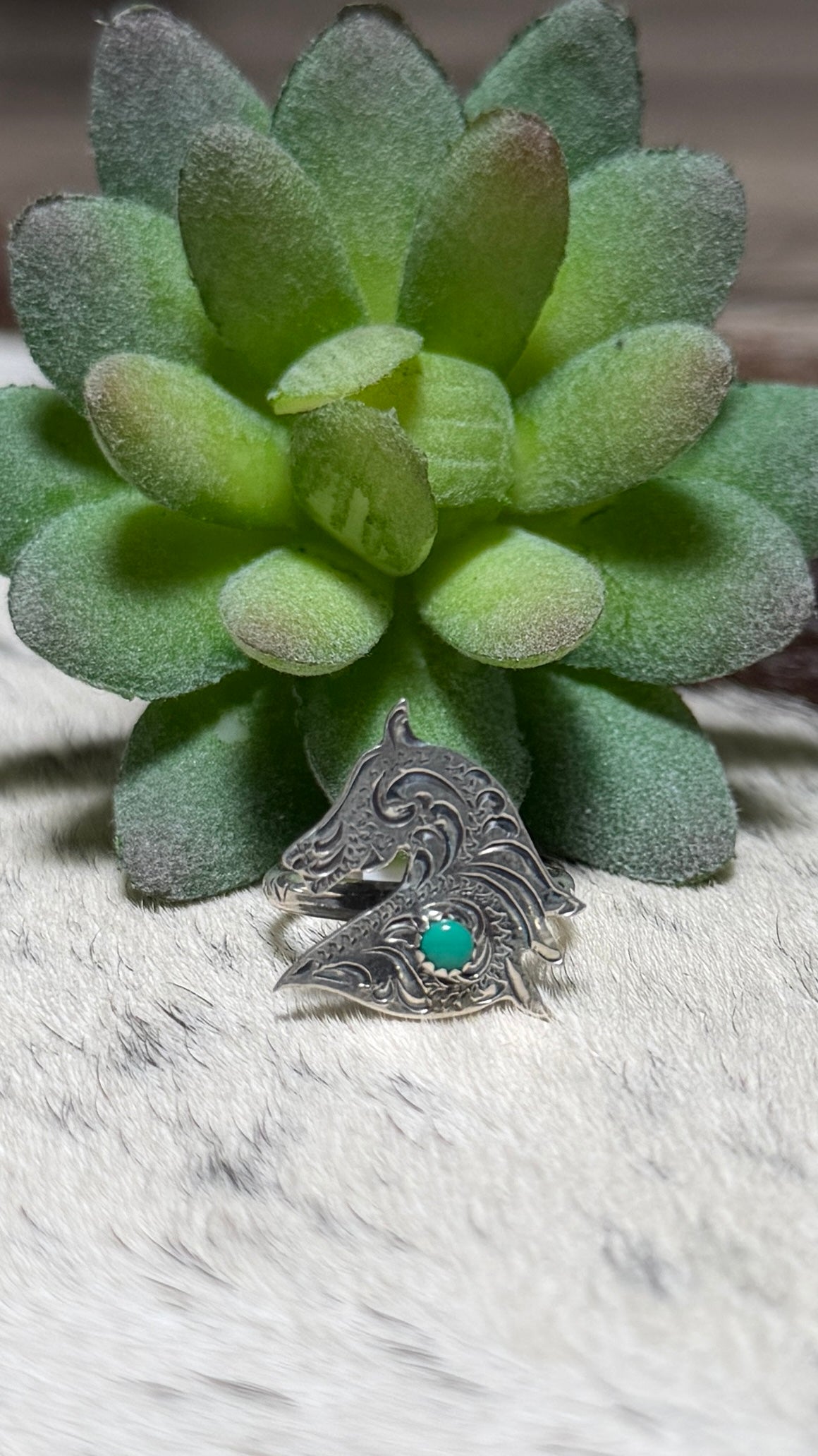 Sonyei Coho horse ring