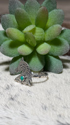 Sonyei Coho horse ring