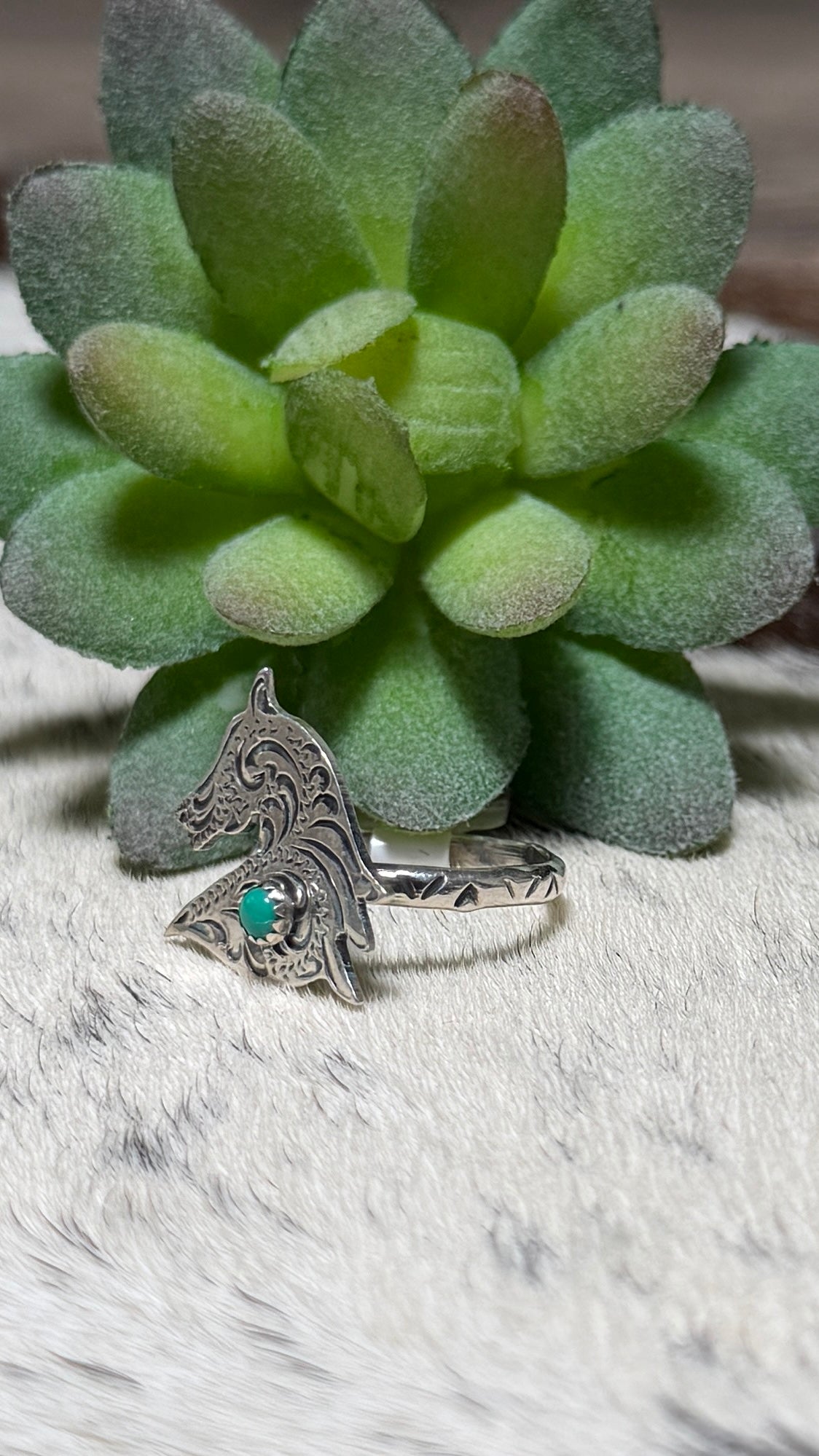 Sonyei Coho horse ring
