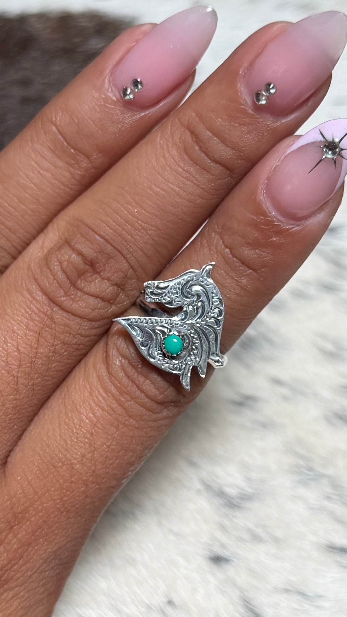 Sonyei Coho horse ring