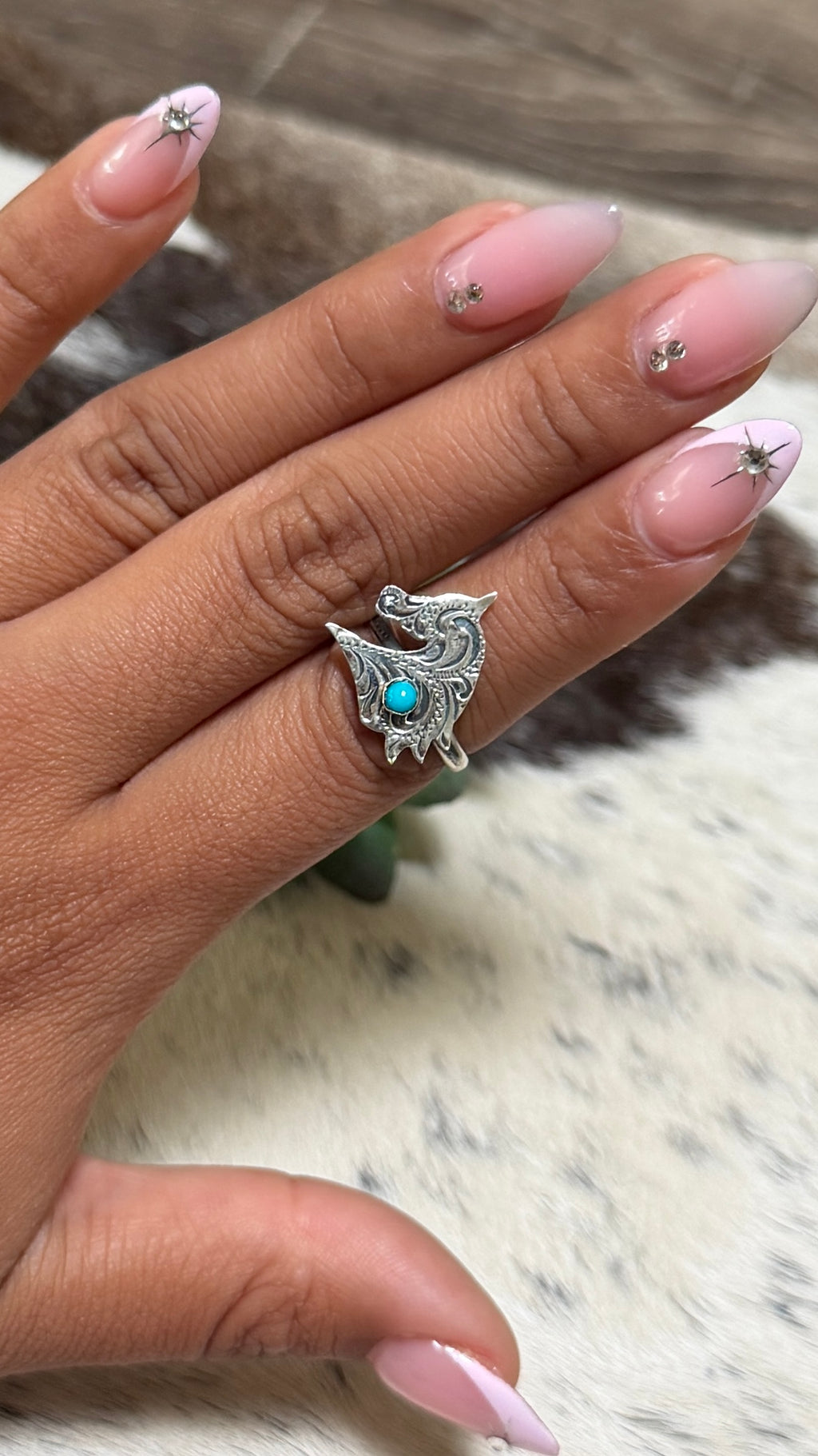 Sonyei Coho horse ring