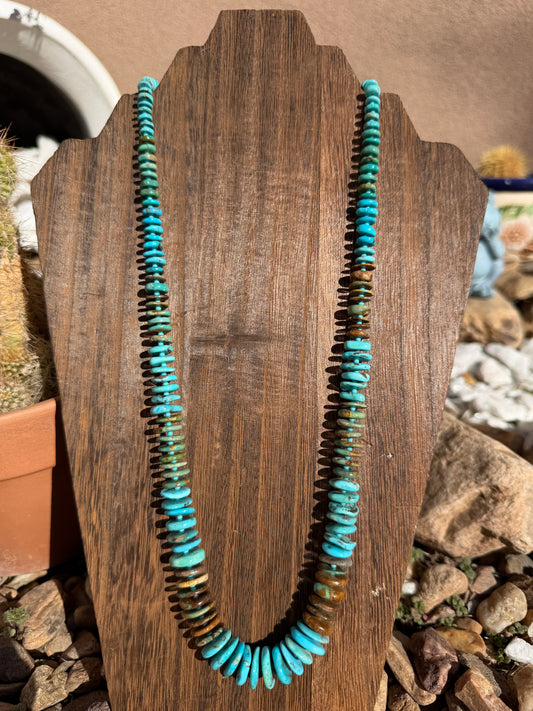 Turquoise disk necklace